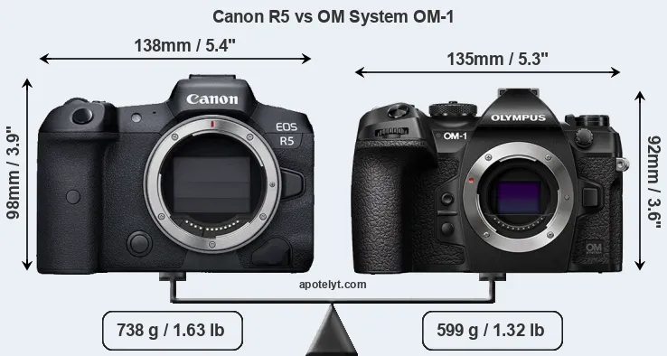 Size Canon R5 vs OM System OM-1