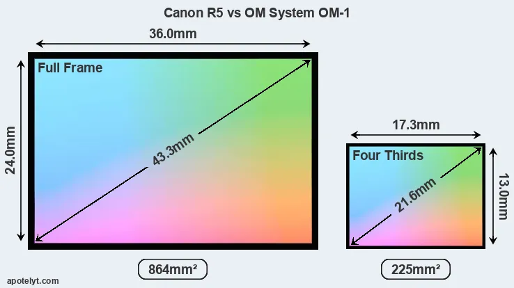 Canon R5 and OM System OM-1 sensor measures
