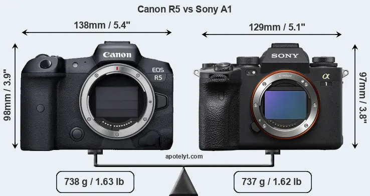 Size Canon R5 vs Sony A1