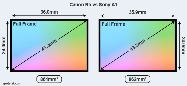 Canon R5 and Sony A1 sensor measures