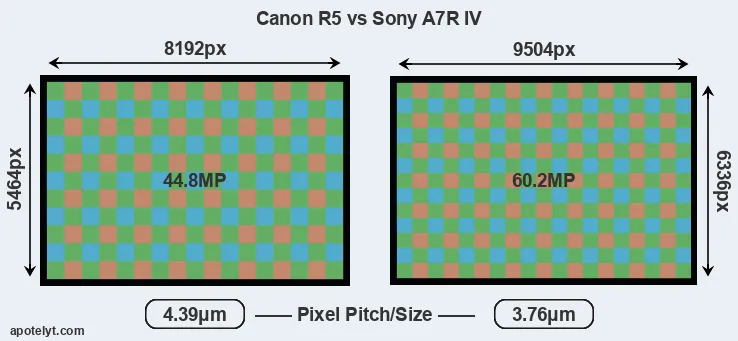R5 versus A7R IV MP
