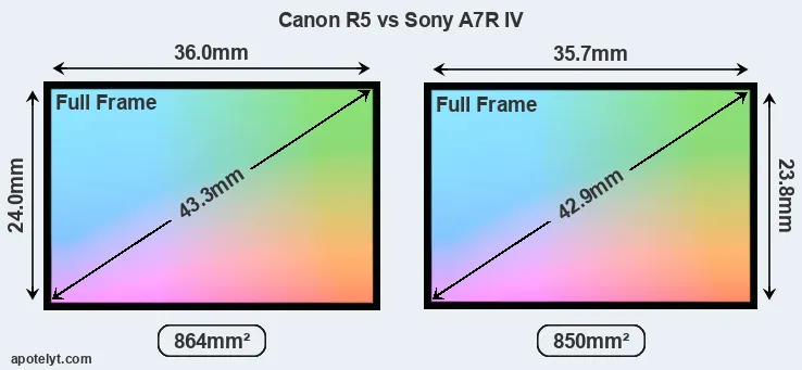 Canon R5 and Sony A7R IV sensor measures