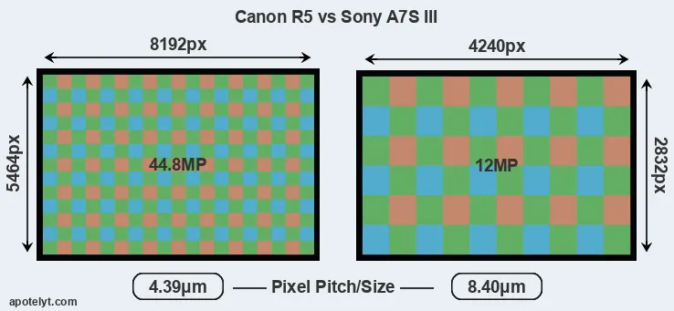 R5 versus A7S III MP