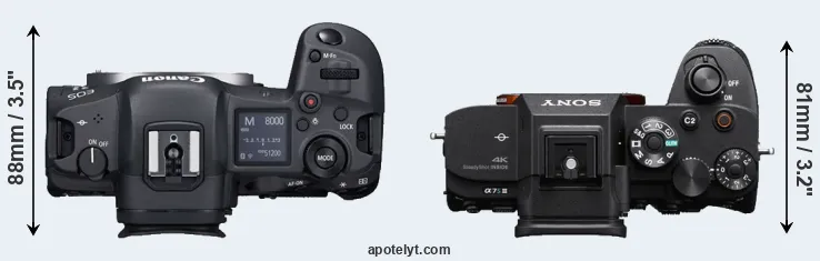 Compare R5 versus A7S III top