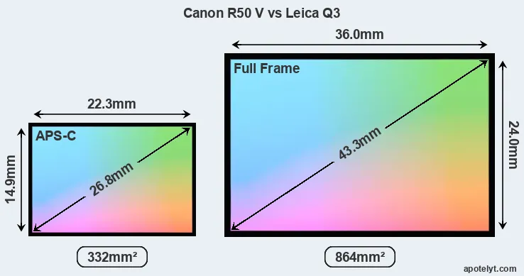 Canon R50 V and Leica Q3 sensor measures