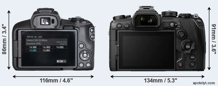 Comparison R50 or E-M1 III rear