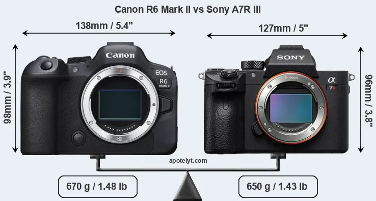 Size Canon R6 Mark II vs Sony A7R III
