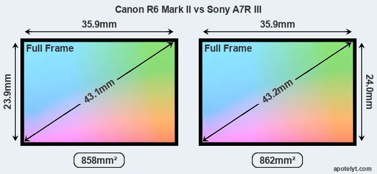 Canon R6 Mark II and Sony A7R III sensor measures