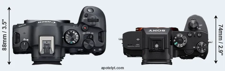 Compare R6 Mark II versus A7R III top