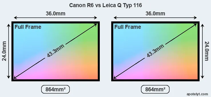 Canon R6 and Leica Q Typ 116 sensor measures