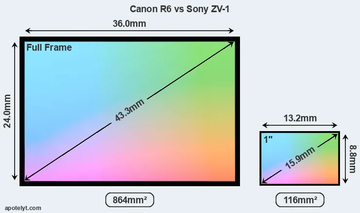 Canon R6 and Sony ZV-1 sensor measures