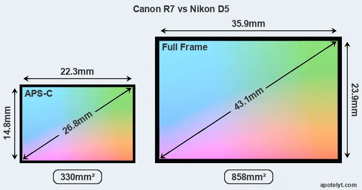 Canon R7 and Nikon D5 sensor measures