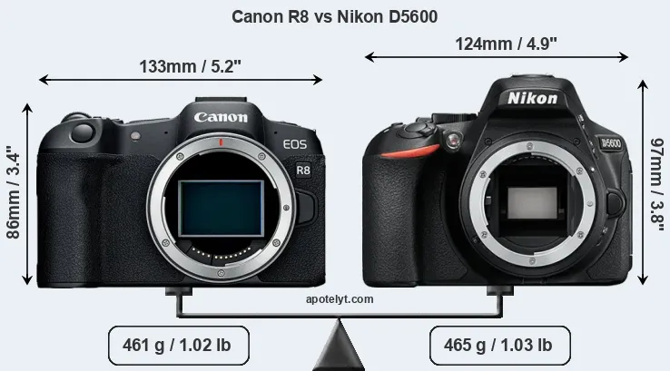 Size Canon R8 vs Nikon D5600