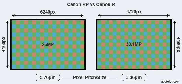 RP versus Canon R MP
