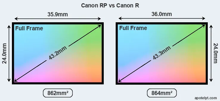 Canon RP and Canon R sensor measures
