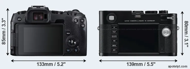 Comparison RP or M Typ 240 rear