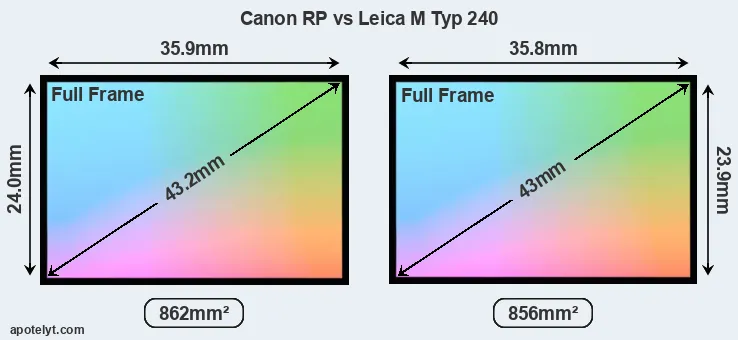 Canon RP and Leica M Typ 240 sensor measures