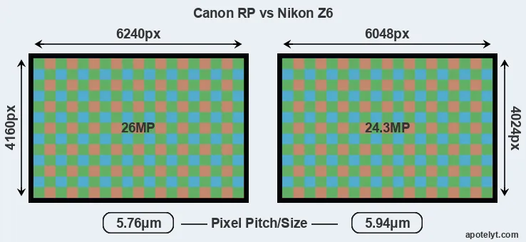RP versus Z6 MP