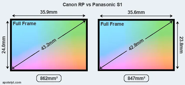 Canon RP and Panasonic S1 sensor measures