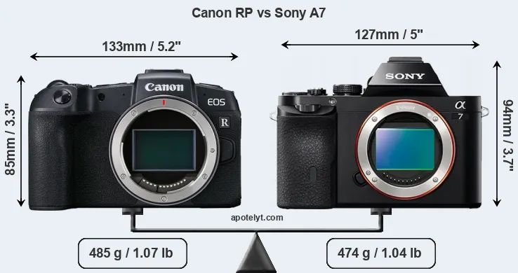 Size Canon RP vs Sony A7