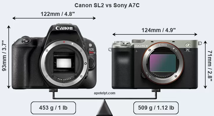 What are the Differences Between the Sony a7C and a7 III?