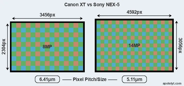XT versus NEX-5 MP