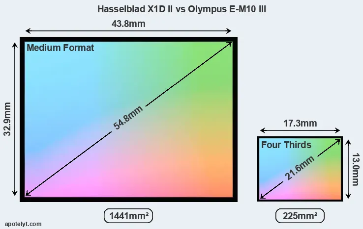 Hasselblad X1D II and Olympus E-M10 III sensor measures