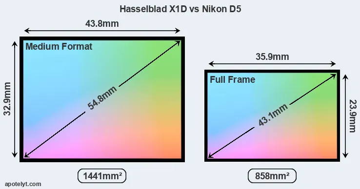 Hasselblad X1D and Nikon D5 sensor measures