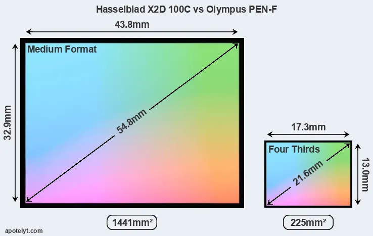 Hasselblad X2D 100C and Olympus PEN-F sensor measures