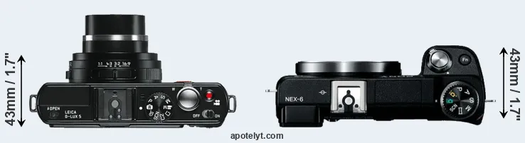 Compare D-LUX 5 versus NEX-6 top