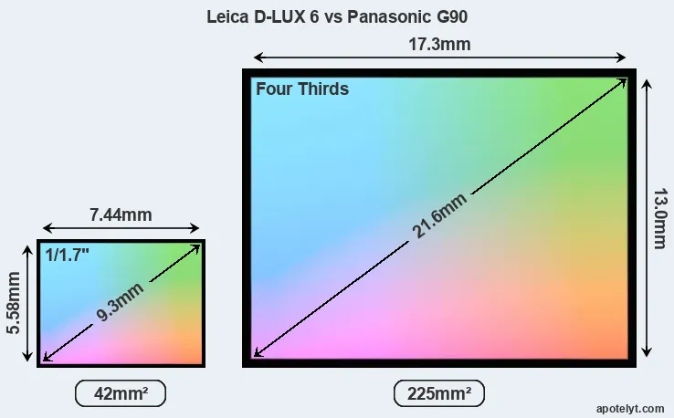 Leica D-LUX 6 and Panasonic G90 sensor measures