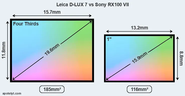 Leica D-LUX 7 and Sony RX100 VII sensor measures