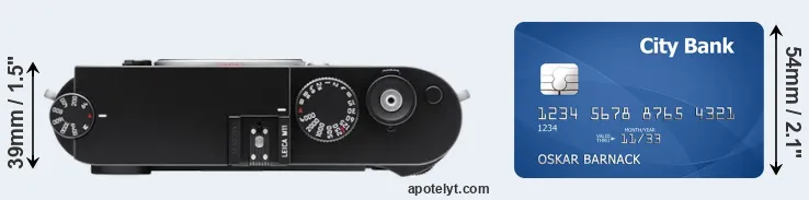 M11 versus credit card top view