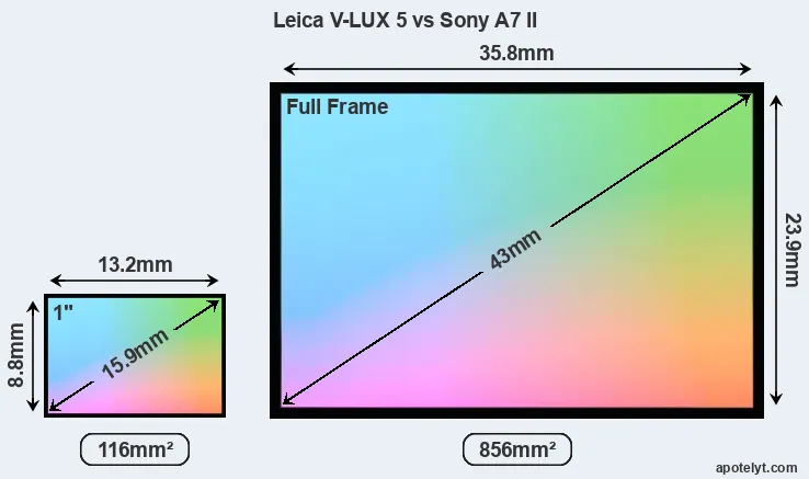 Leica V-LUX 5 and Sony A7 II sensor measures