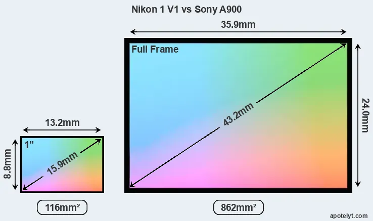 Nikon 1 V1 and Sony A900 sensor measures