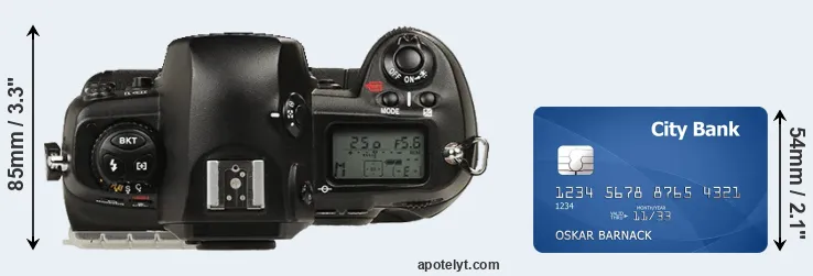 D1 versus credit card top view