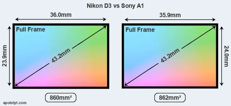 Nikon D3 and Sony A1 sensor measures