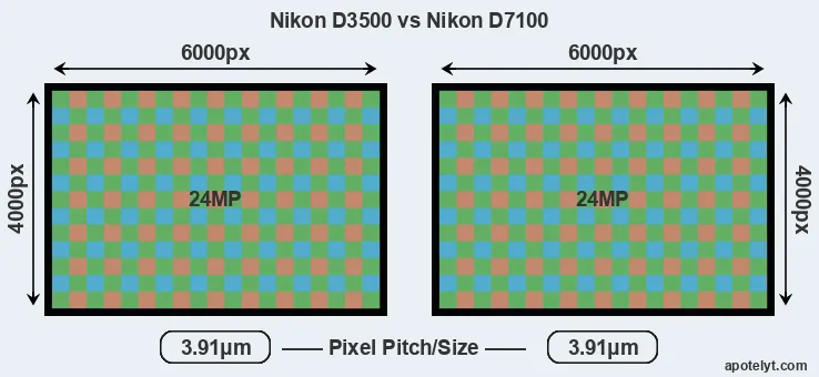 D3500 versus D7100 MP