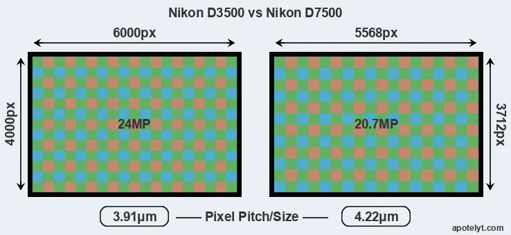 D3500 versus D7500 MP