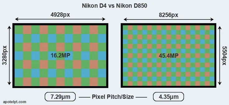 D4 versus D850 MP