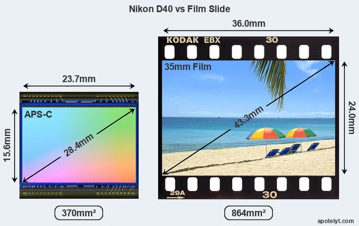 Nikon D40 sensor measures