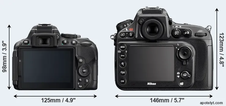 Comparison D5300 or D800 rear