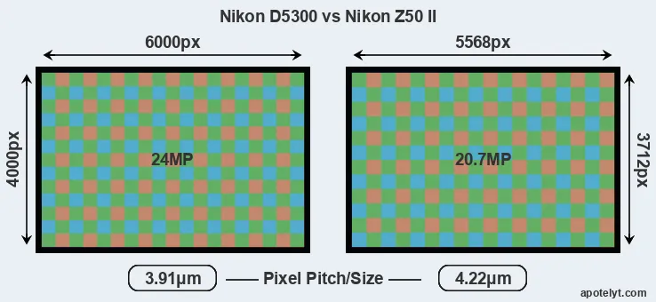 D5300 versus Z50 II MP