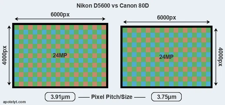 D5600 versus 80D MP