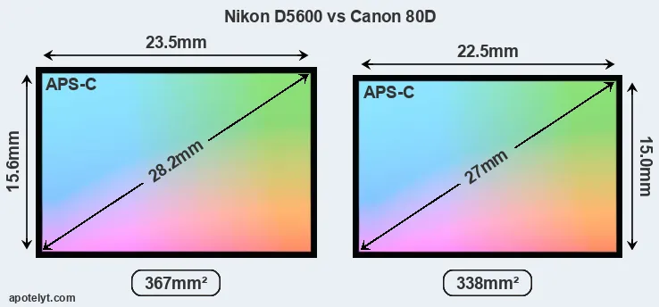 Nikon D5600 and Canon 80D sensor measures