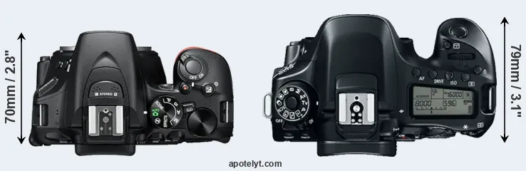 Compare D5600 versus 80D top