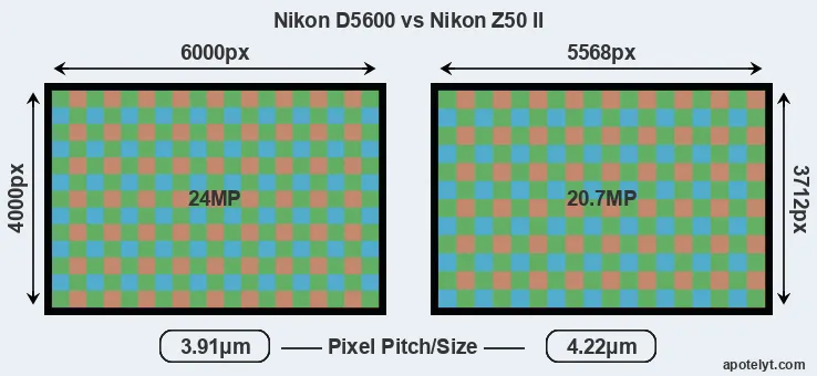 D5600 versus Z50 II MP