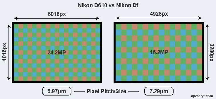 D610 versus Df MP