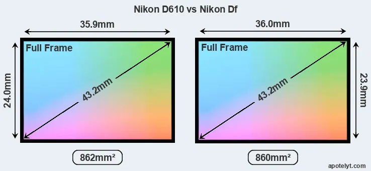 Nikon D610 and Nikon Df sensor measures