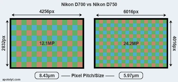 D700 versus D750 MP